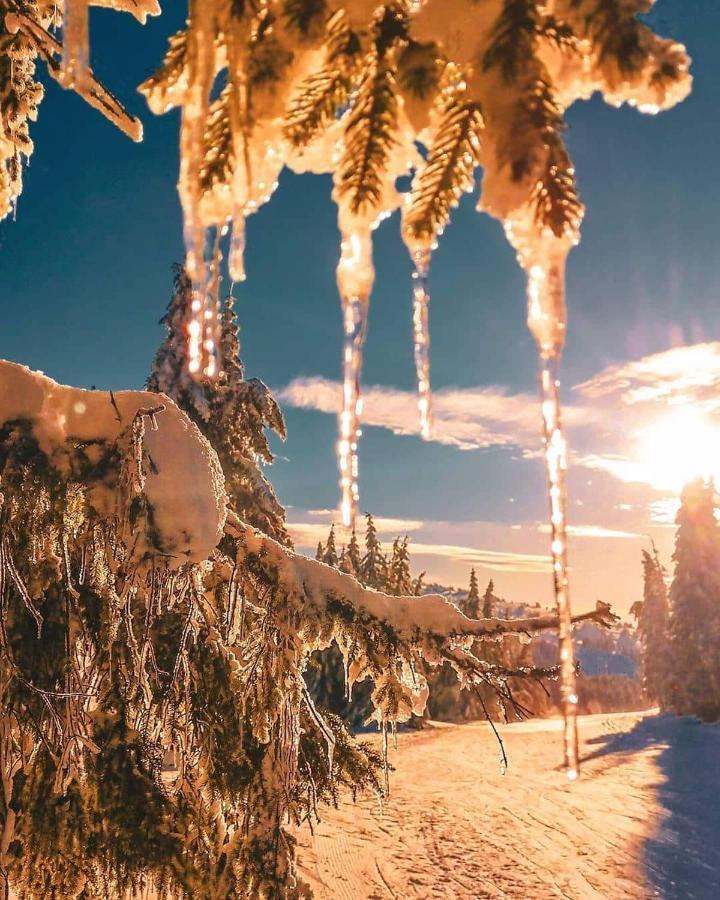 Sans Lux Apartman N42 Milmari Kopaonik Kültér fotó