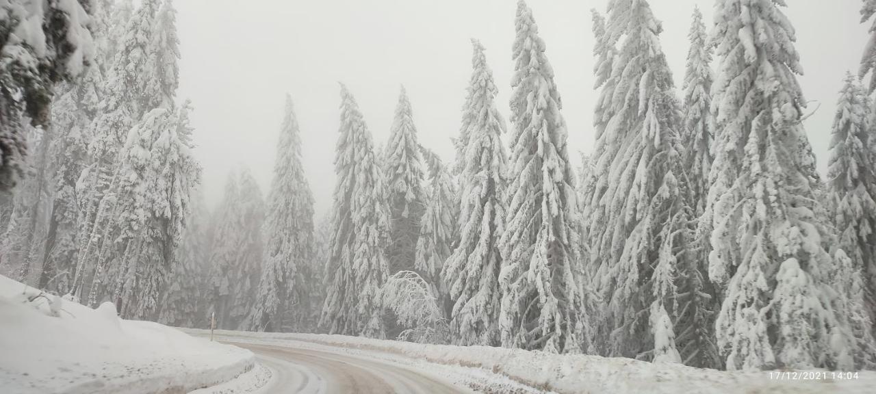 Sans Lux Apartman N42 Milmari Kopaonik Kültér fotó