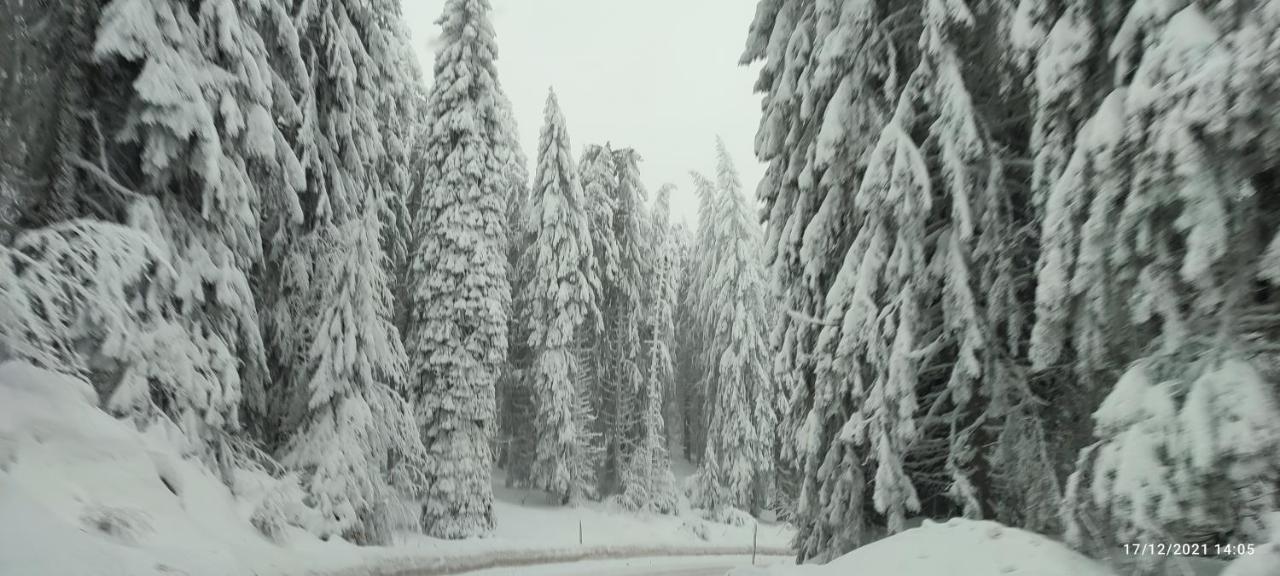 Sans Lux Apartman N42 Milmari Kopaonik Kültér fotó